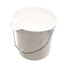 PAIL-10 QT